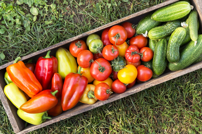 fresh-garden-veggies